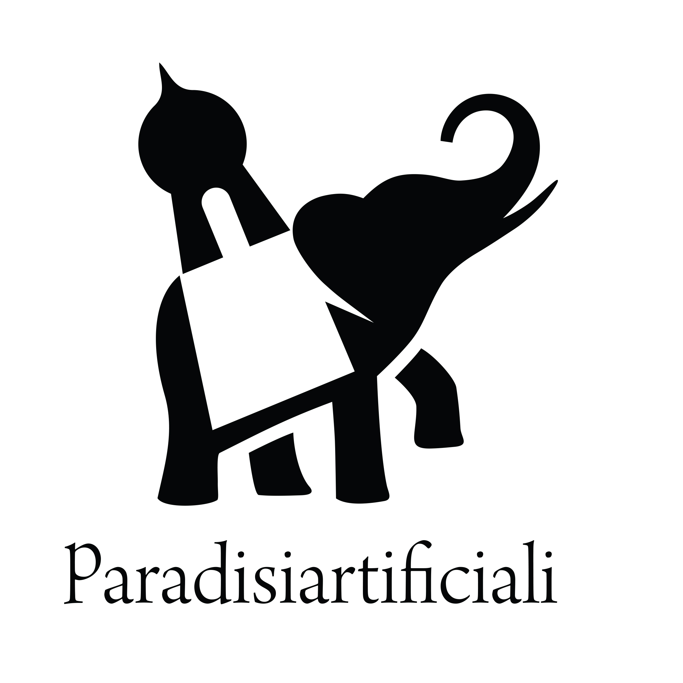 Paradisiartificiali company logo